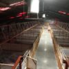 Feed system completed - Image 5