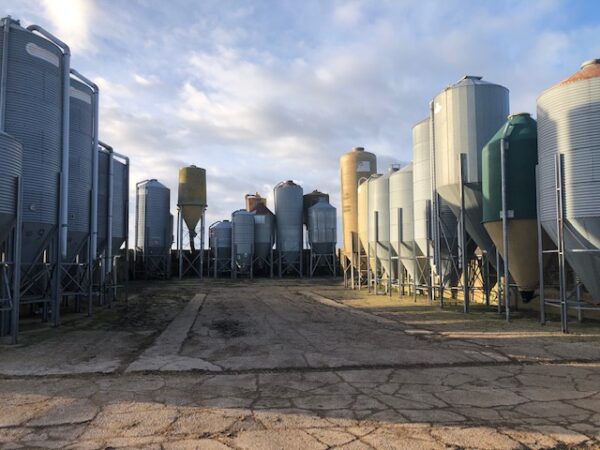 Bulk bins