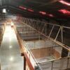 Feed system completed - Image 2